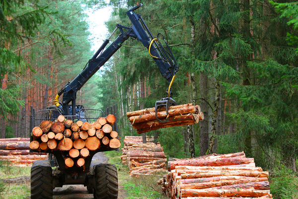 2023 Versus Capital Blog #2 - Grid Timberland